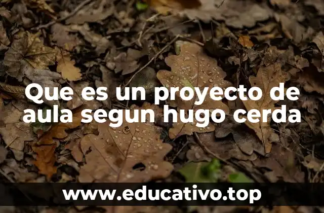 Que es un proyecto de aula segun hugo cerda