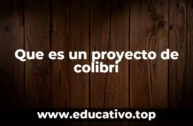 Que es un proyecto de colibri