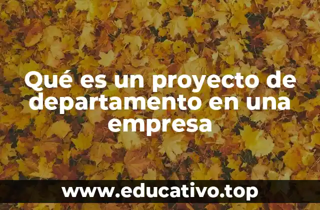 Qué es un proyecto de departamento en una empresa