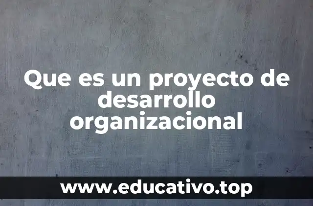 Que es un proyecto de desarrollo organizacional