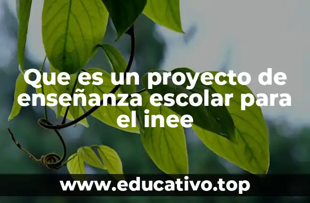 La importancia de los proyectos escolares en el contexto nacional