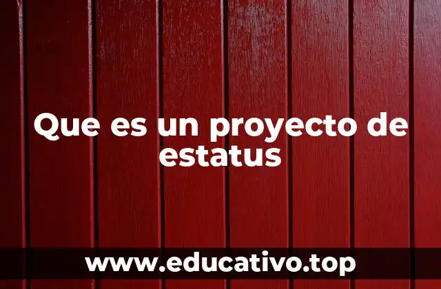 Que es un proyecto de estatus
