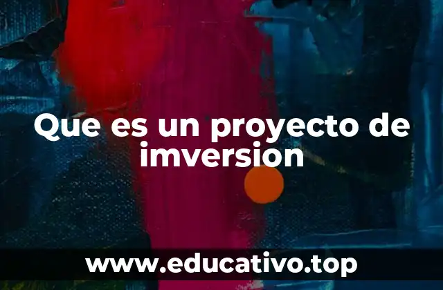 Cómo se estructuran los proyectos de inversión