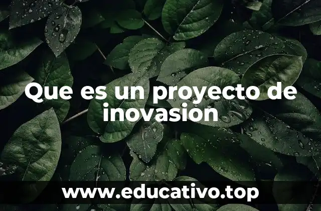 Que es un proyecto de inovasion