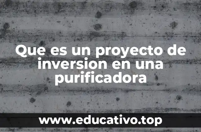 Que es un proyecto de inversion en una purificadora