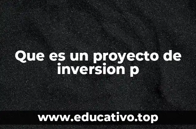 Que es un proyecto de inversion p