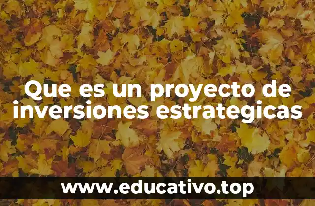 Que es un proyecto de inversiones estrategicas