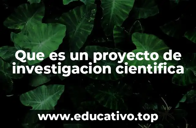 Que es un proyecto de investigacion cientifica