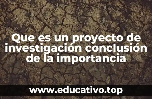 Que es un proyecto de investigación conclusión de la importancia