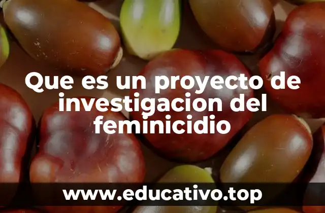 Que es un proyecto de investigacion del feminicidio