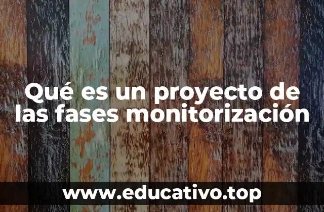 Qué es un proyecto de las fases monitorización