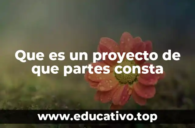 Que es un proyecto de que partes consta