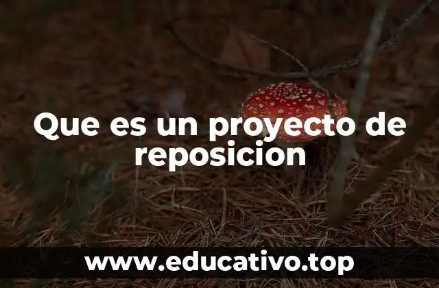 Que es un proyecto de reposicion