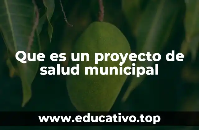 Que es un proyecto de salud municipal