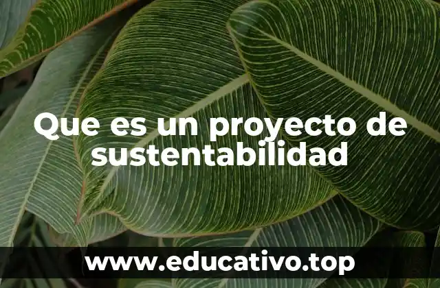 Que es un proyecto de sustentabilidad