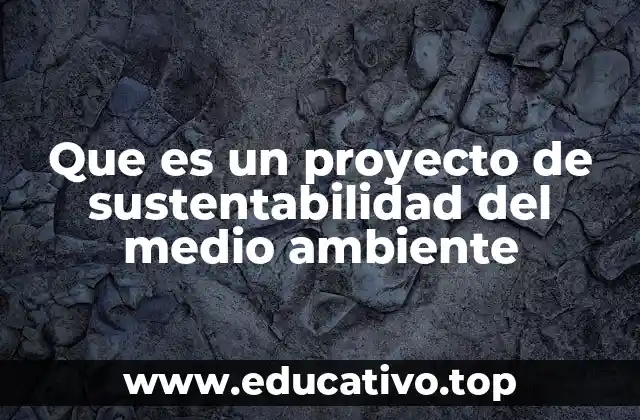 Que es un proyecto de sustentabilidad del medio ambiente