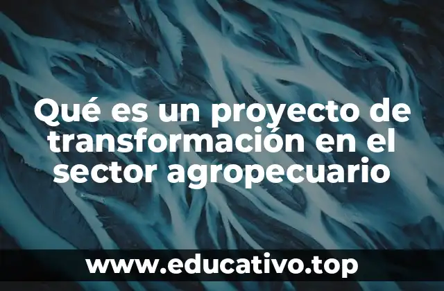Qué es un proyecto de transformación en el sector agropecuario