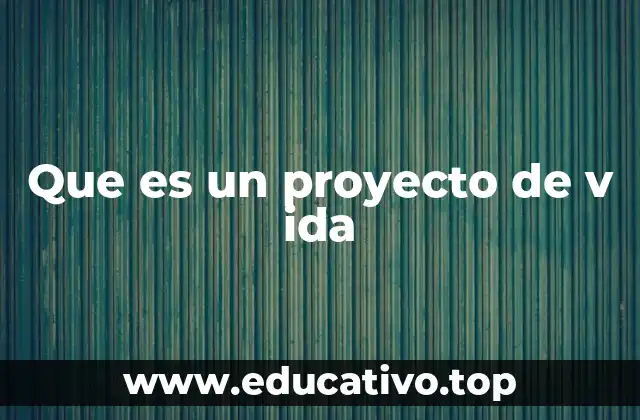 Que es un proyecto de v ida