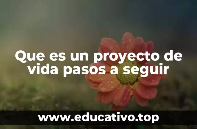 Que es un proyecto de vida pasos a seguir