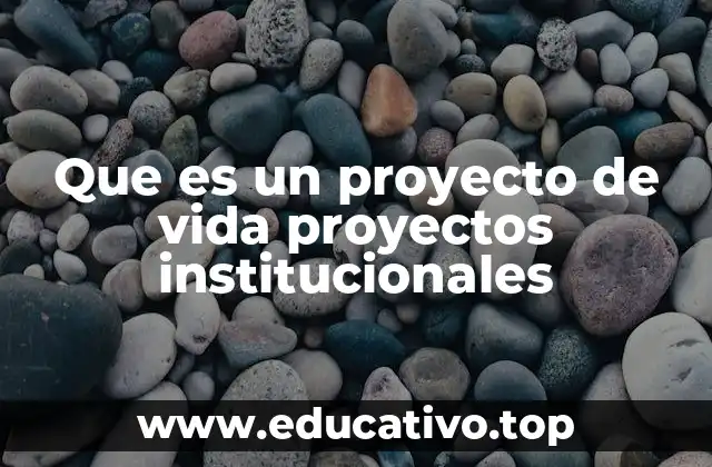 Que es un proyecto de vida proyectos institucionales