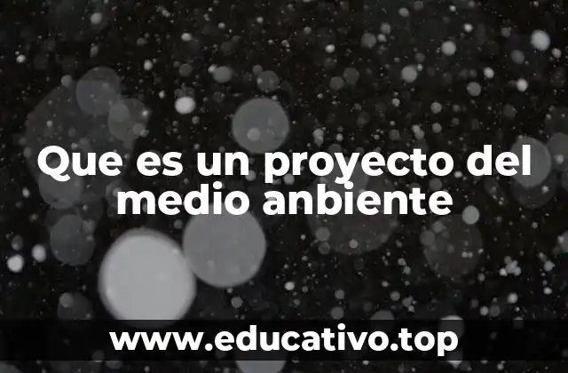 Que es un proyecto del medio anbiente