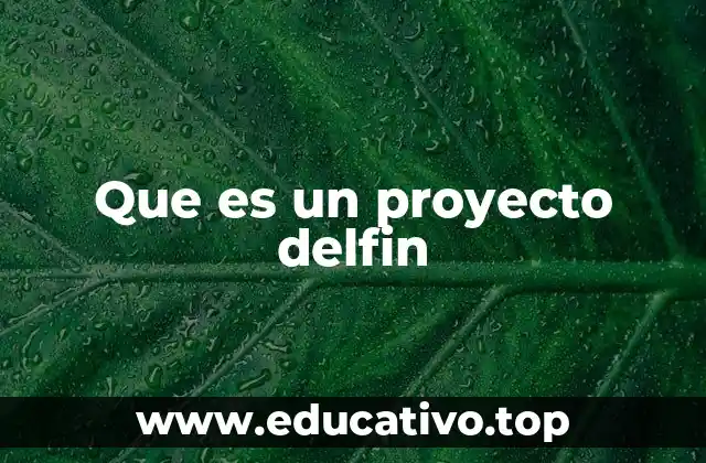 Características que definen un proyecto Delfín