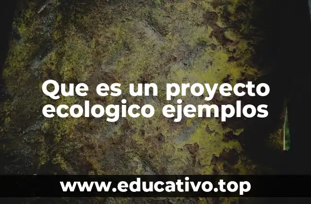 Que es un proyecto ecologico ejemplos
