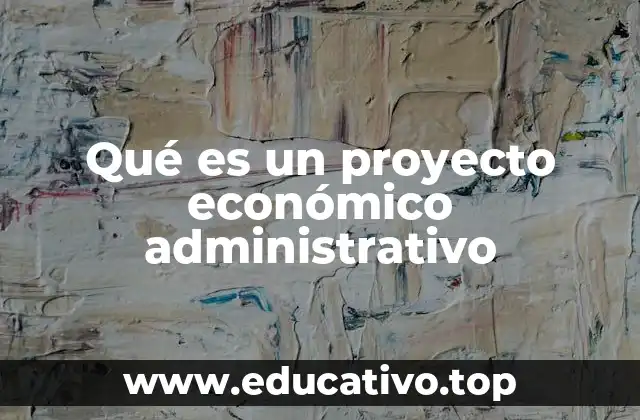 Qué es un proyecto económico administrativo