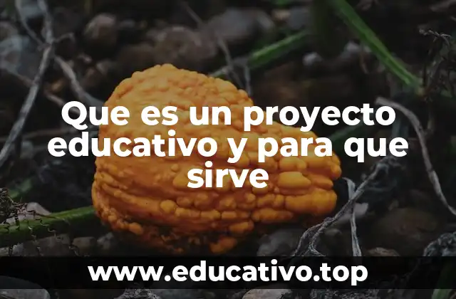 Que es un proyecto educativo y para que sirve