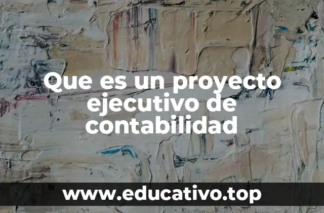 Que es un proyecto ejecutivo de contabilidad