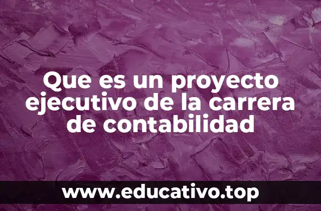 Que es un proyecto ejecutivo de la carrera de contabilidad
