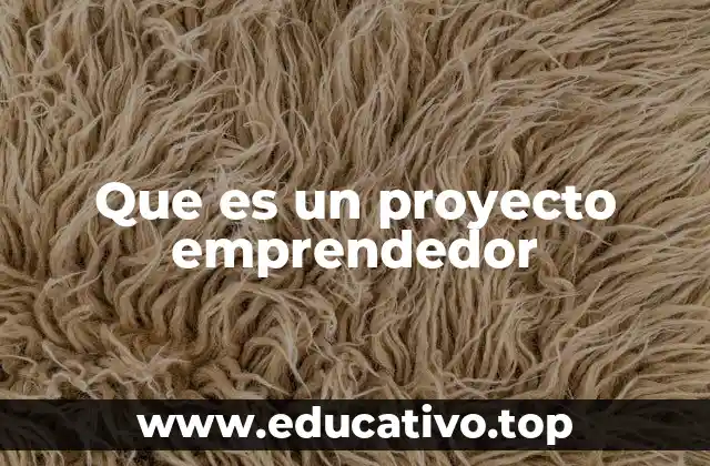 Que es un proyecto emprendedor