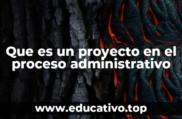 Que es un proyecto en el proceso administrativo