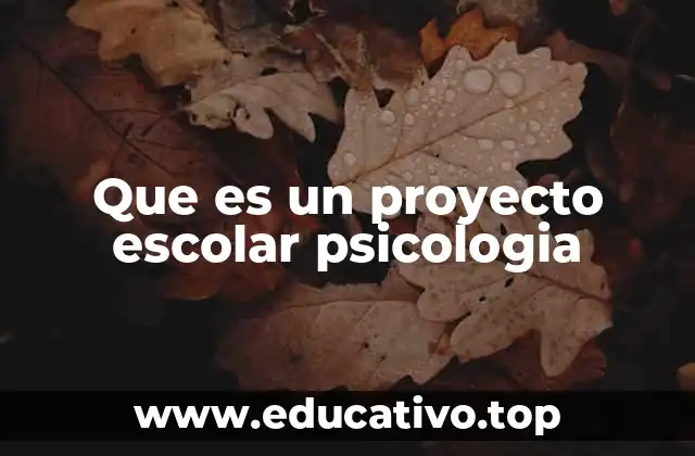 Que es un proyecto escolar psicologia