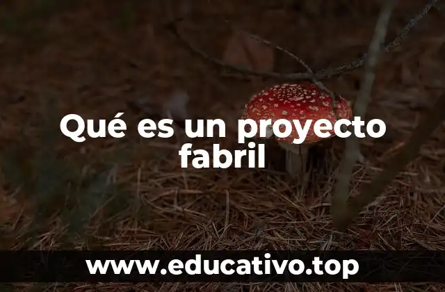 Qué es un proyecto fabril