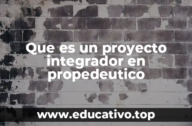 Que es un proyecto integrador en propedeutico