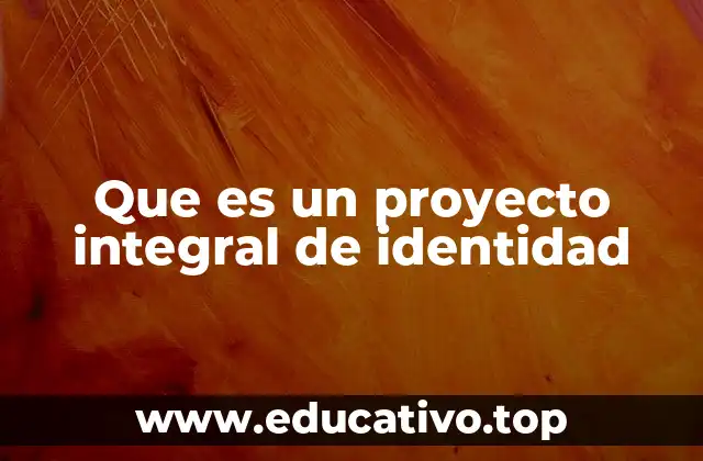 Que es un proyecto integral de identidad