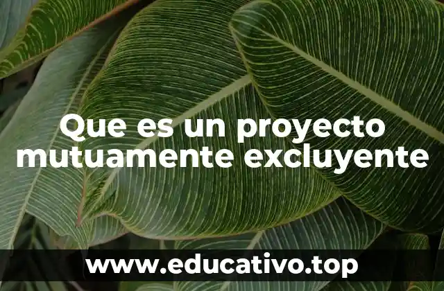 Que es un proyecto mutuamente excluyente