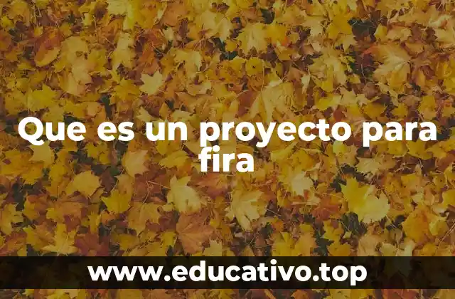 Que es un proyecto para fira