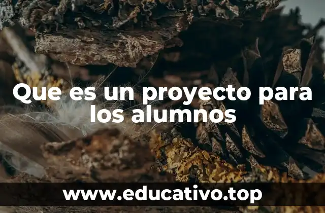 La importancia de los proyectos escolares en el desarrollo del estudiante
