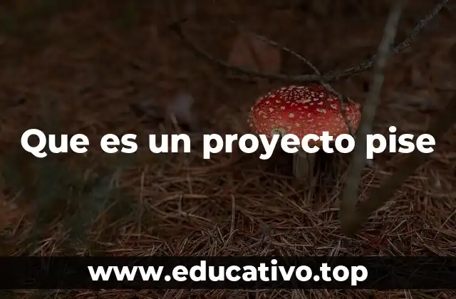 Que es un proyecto pise