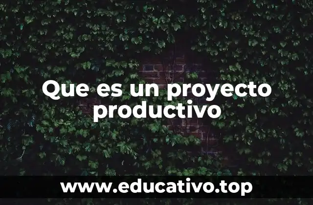 Que es un proyecto productivo