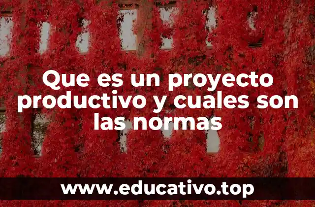Que es un proyecto productivo y cuales son las normas