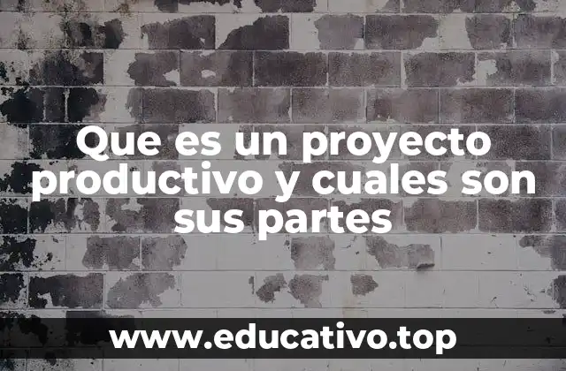 Que es un proyecto productivo y cuales son sus partes