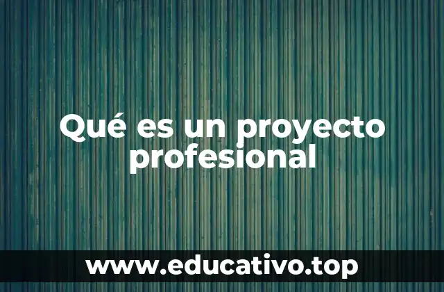 Qué es un proyecto profesional