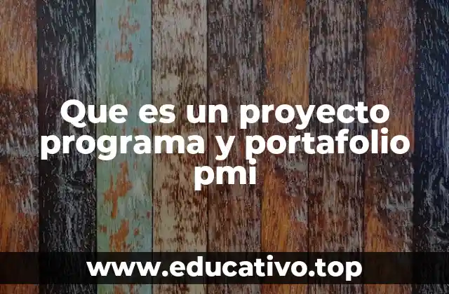 Que es un proyecto programa y portafolio pmi