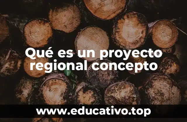 Qué es un proyecto regional concepto