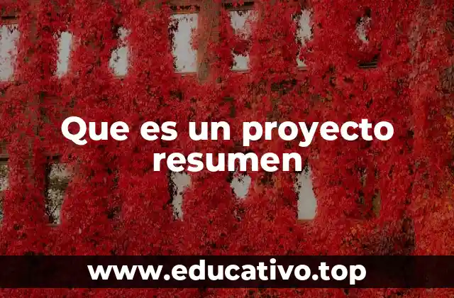 Que es un proyecto resumen