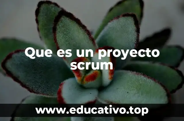 Que es un proyecto scrum