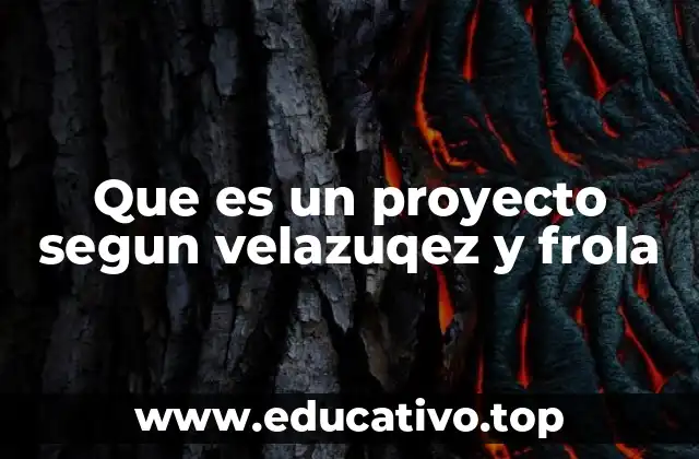 Que es un proyecto segun velazuqez y frola